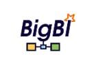 BigBI logo