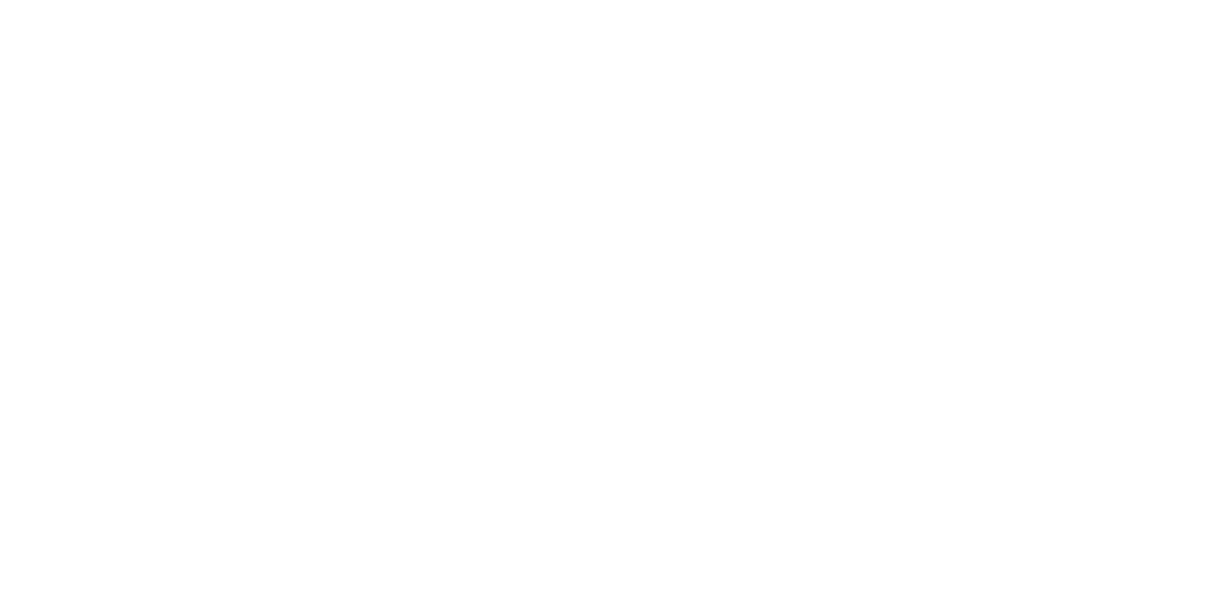 Logo de CIO